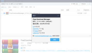 Free Download Manager v6.16.0便携版 - NV资源网