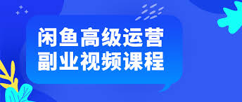 闲鱼高级运营副业视频课程 - NV资源网